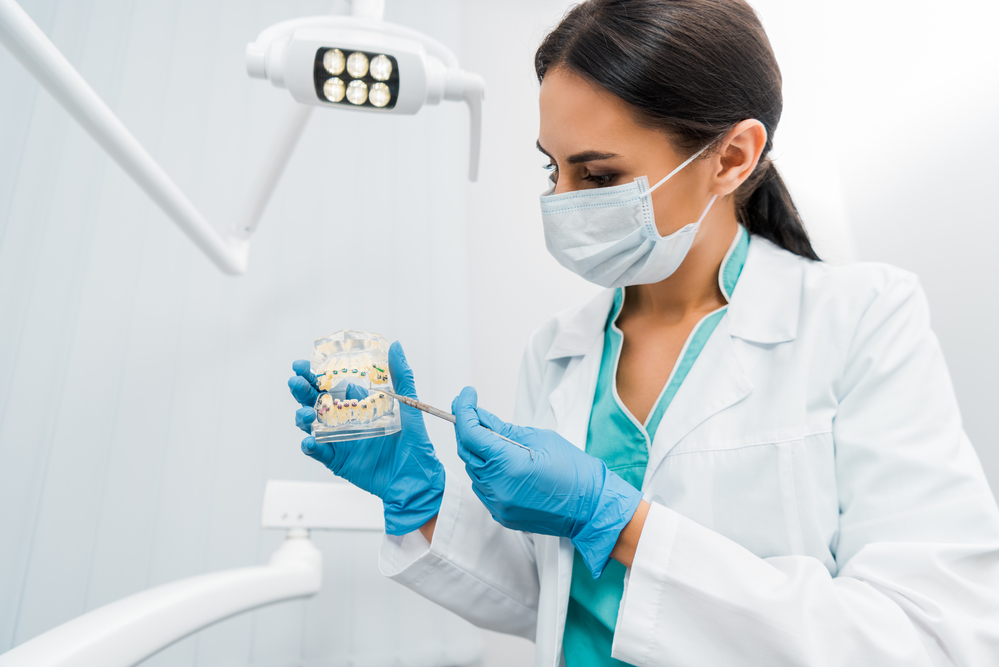 dentist holding dental model with braces